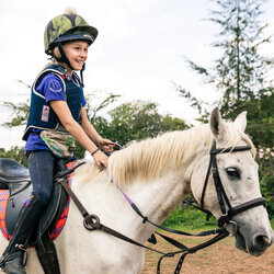 Intensive Equestrian Learning Stays