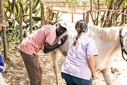 Equine Outreach Services from Everything Altitude